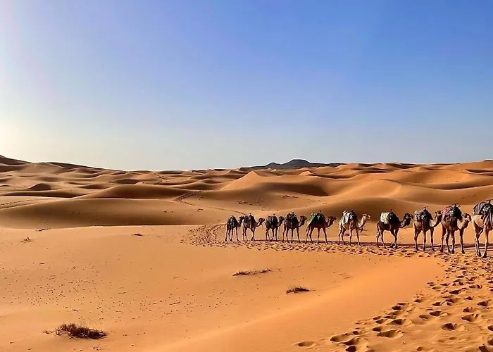 Chegaga Desert Trips Camp
