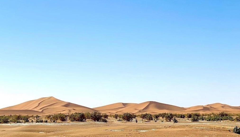 Chegaga Desert Trips Camp * M'Hamid