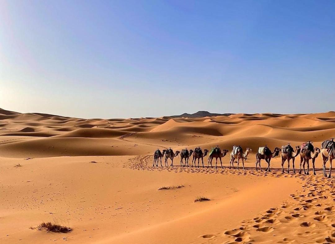 Campsite Chegaga Desert Trips Camp M'Hamid